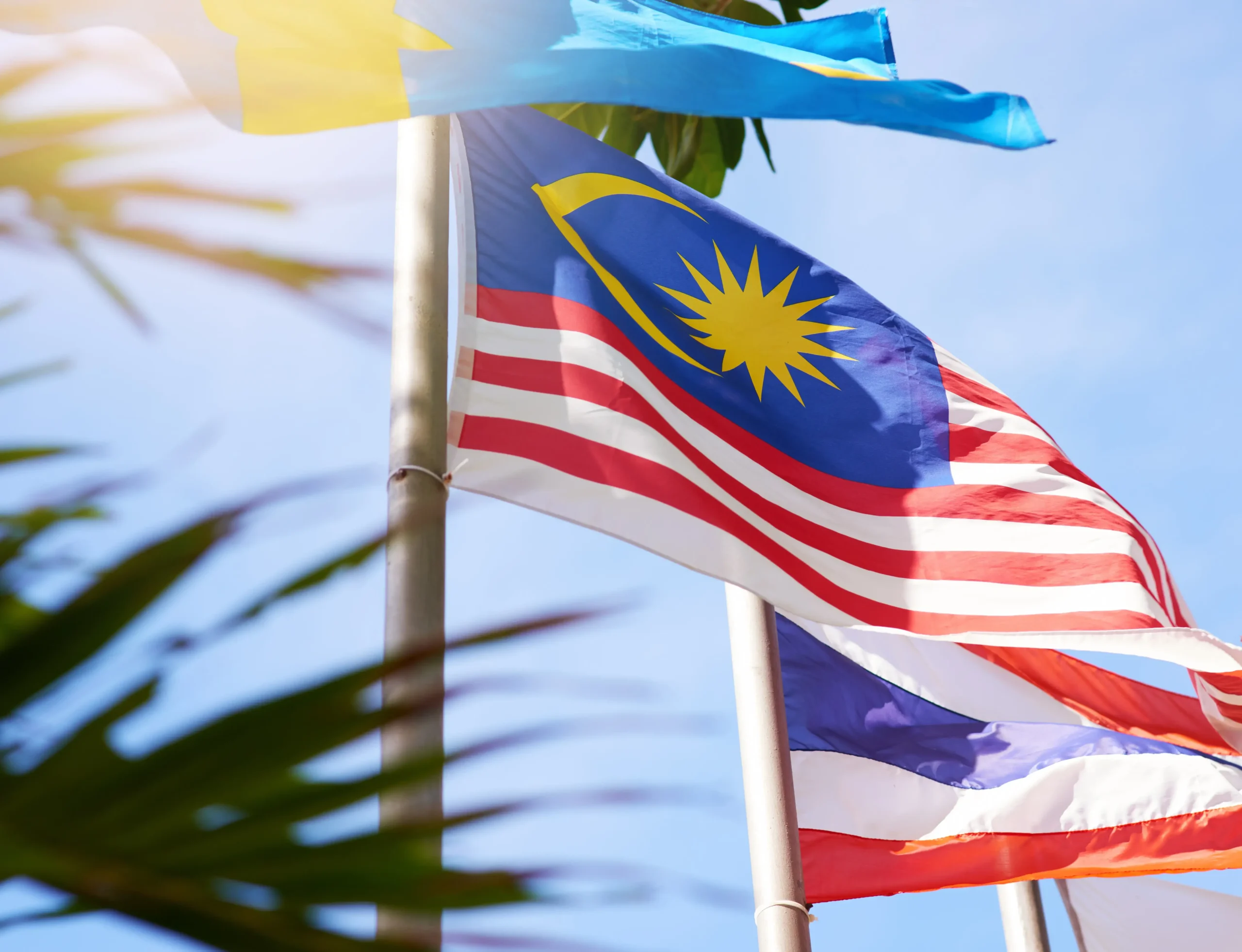 Steps to Form a Malaysia Sdn Bhd: A Quick Guide